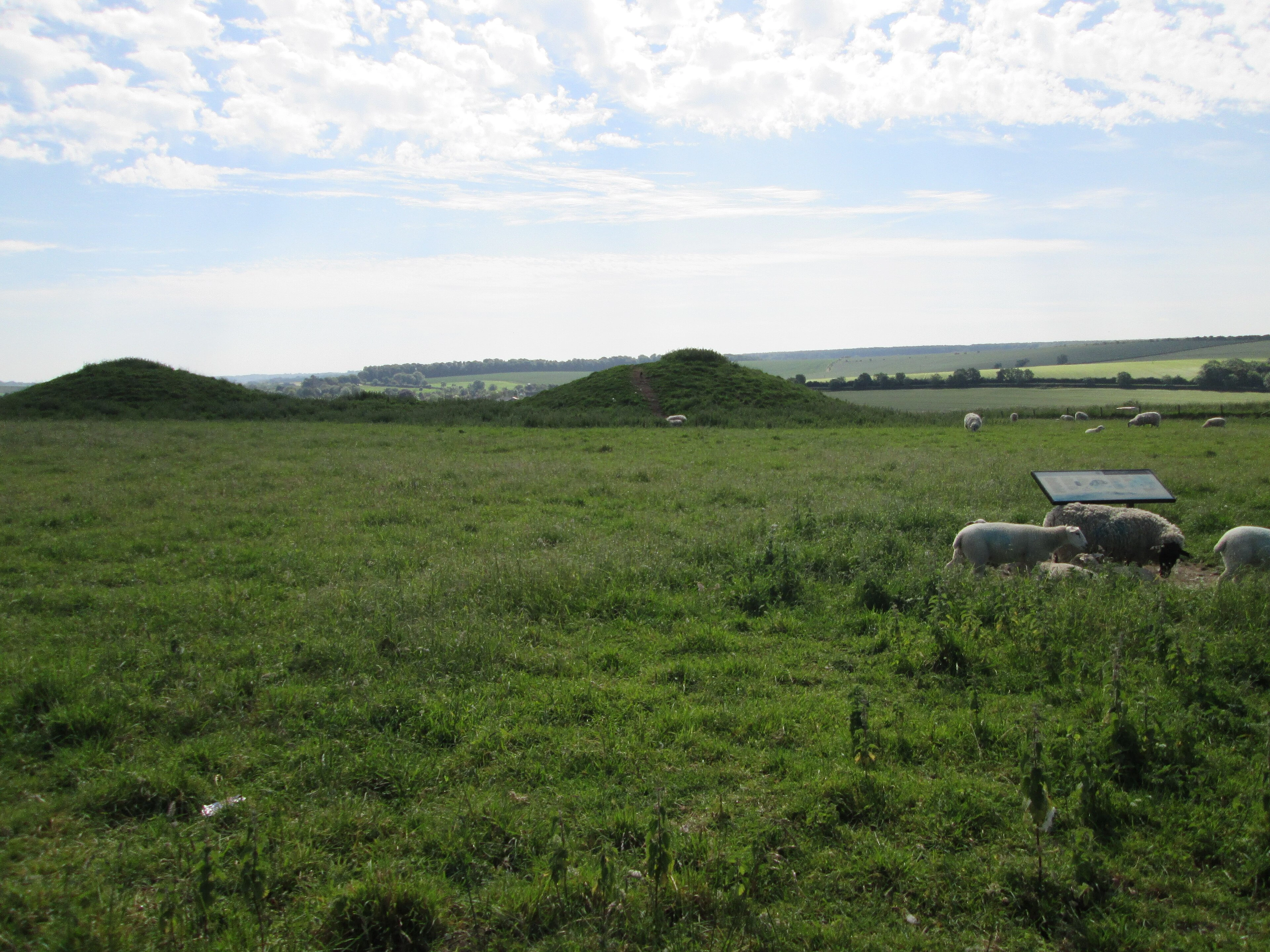 Esempio di tumuli funerari dell'età del bronzo nella campagna inglese, presso Overton Hill (non le tombe di Tidworth).