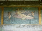 L'affresco della Venere in Conchiglia nella Casa della Venere in Conchiglia a Pompei.