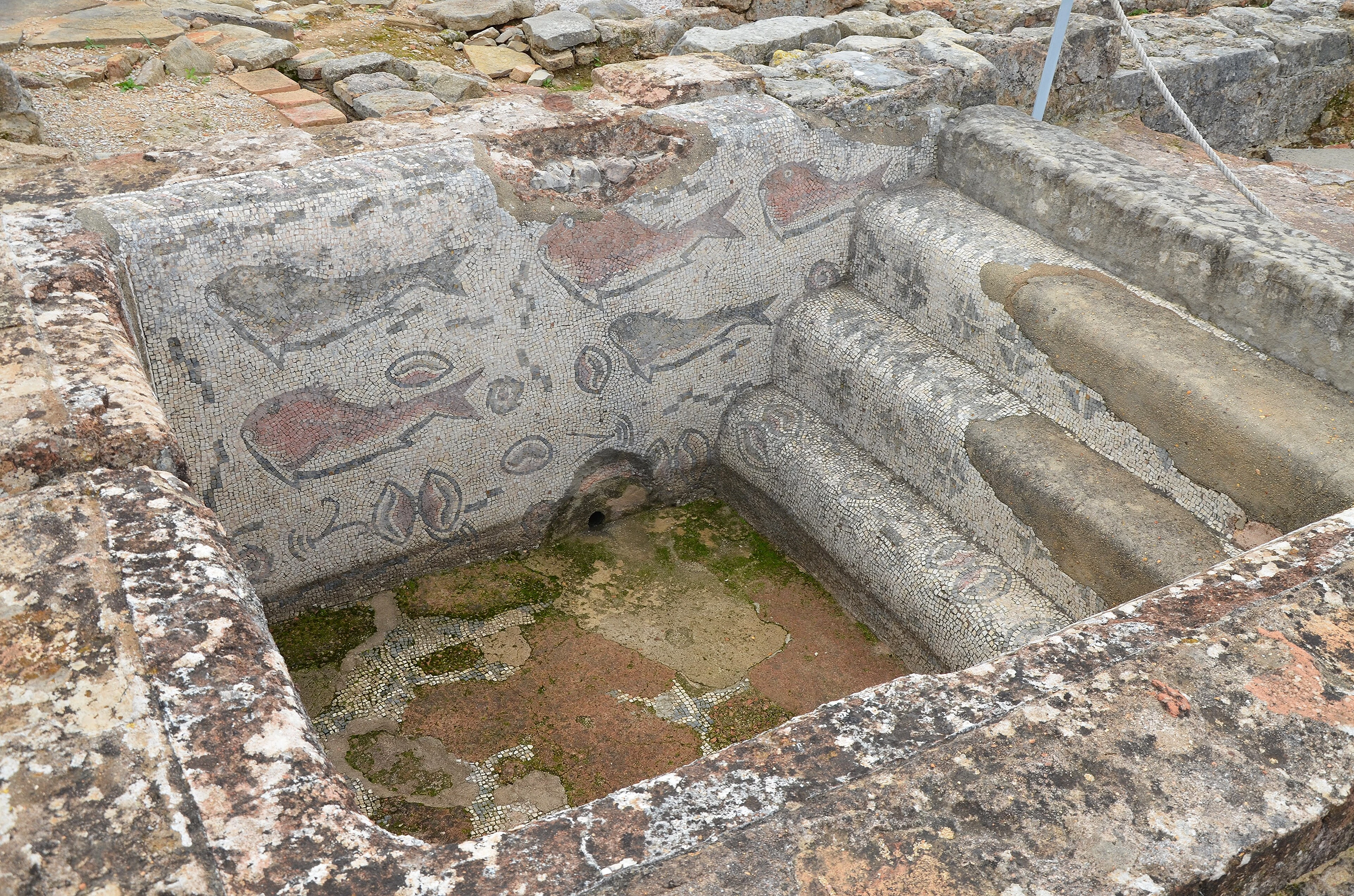 Esempio di frigidarium di terme romane con mosaico pavimentale, alle rovine di Milreu, in Portogallo (non le terme di Castel di Guido).