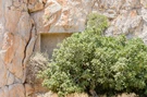 Esempio di tomba antica scavata nella roccia, a Santorini (non le tombe ritrovate presso Salonicco).