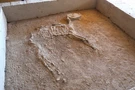Sepoltura rituale di un puledro nella necropoli dell'antica città di Gonur Depe, in Turkmenistan (non la tomba del cane descritta …