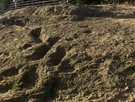 Esempio di impronte fossili umane pietrificate, alle Ciampate del Diavolo, in Italia (non il reperto dell'oasi di Siwa, in Egitto).