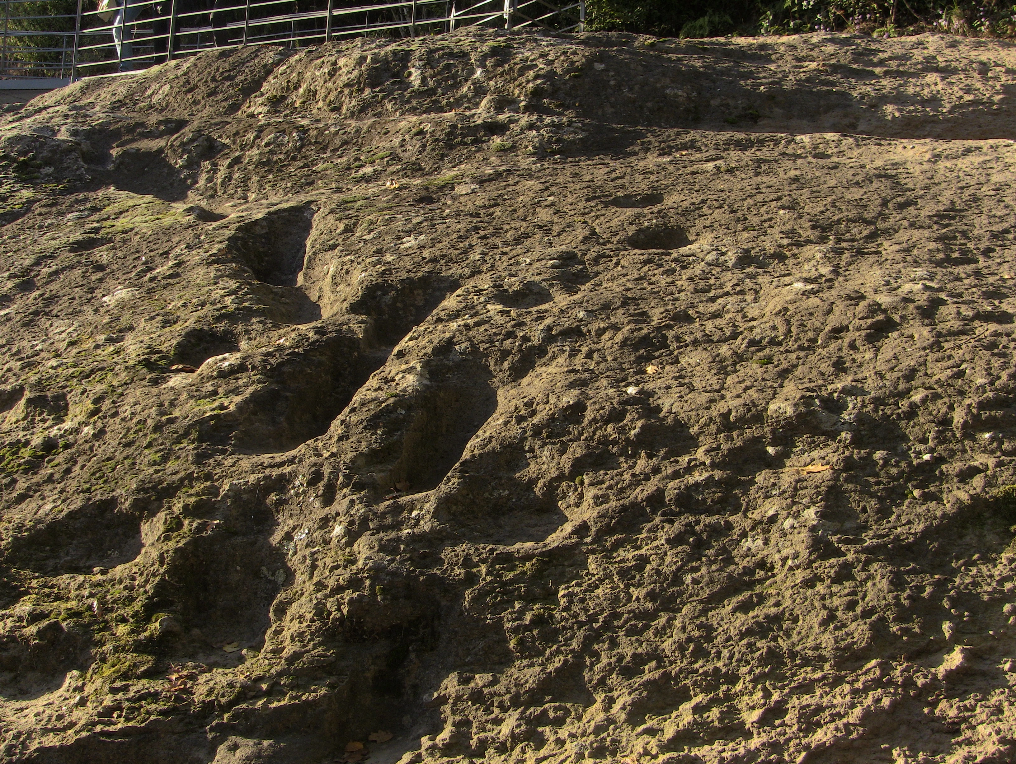 Esempio di impronte fossili umane pietrificate, alle Ciampate del Diavolo, in Italia (non il reperto dell'oasi di Siwa, in Egitto).