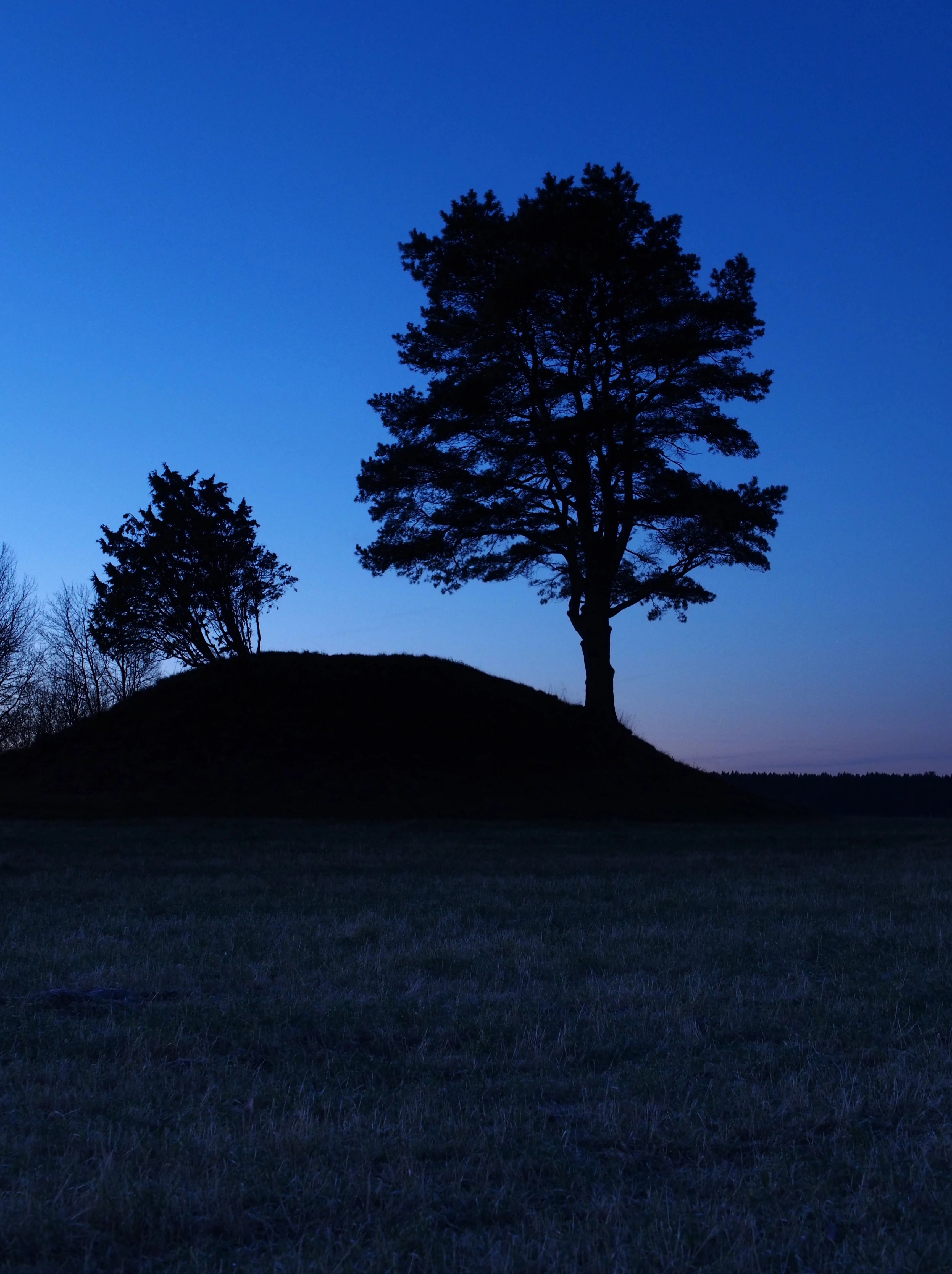 Esempio di tumulo funerario preistorico, in Svezia (non il tumulo di Mereto di Tomba).