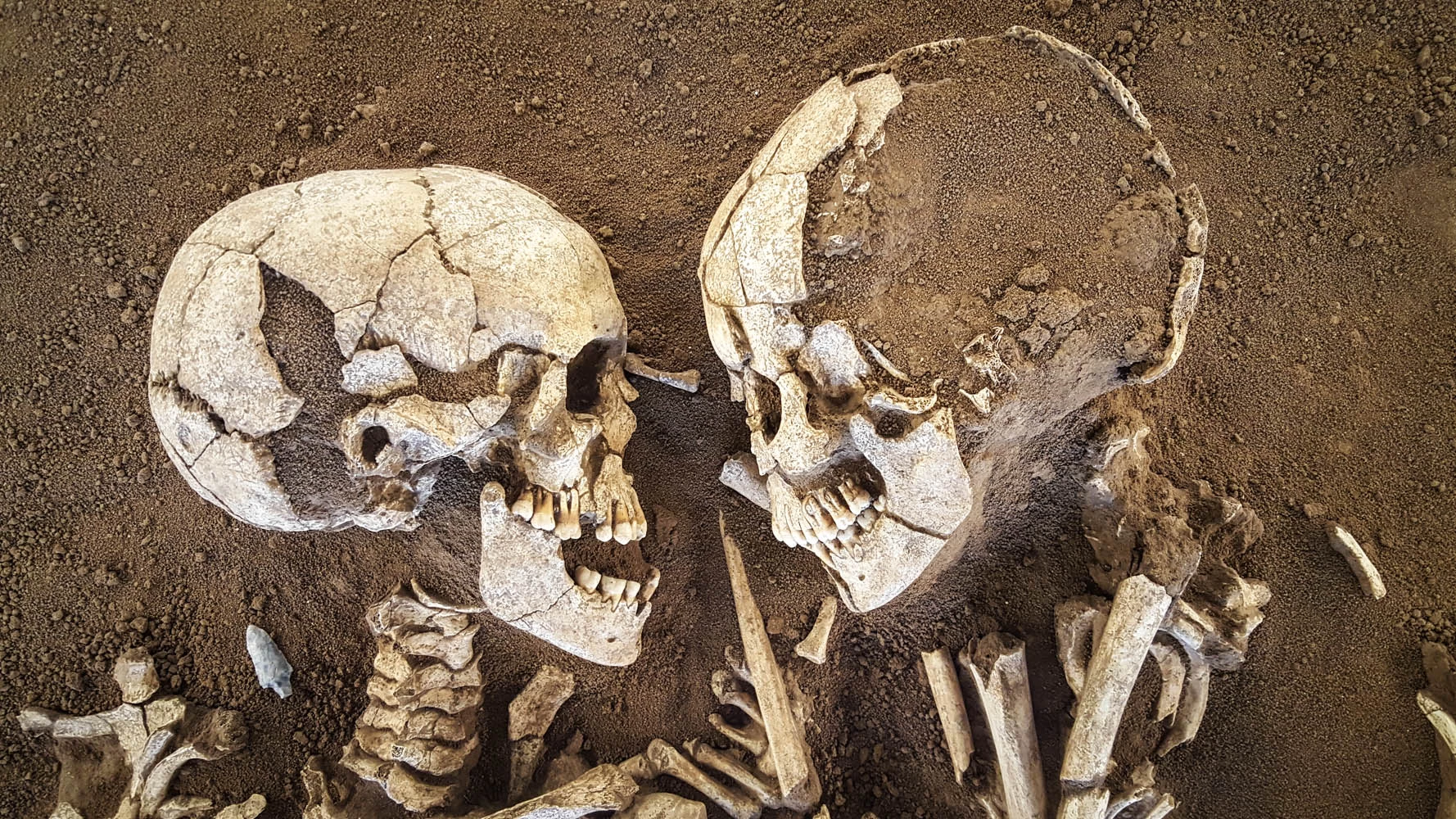 I resti scheletrici dei cosiddetti 'amanti di Valdaro', una sepoltura neolitica ritrovata nel Mantovano.