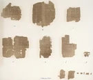 Esempio di frammenti di papiro greco antico (non i papiri acquisiti dal Museo del Papiro di Siracusa).