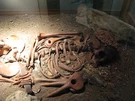 Il ritrovamento del cosiddetto 'Giovane Principe', sepoltura paleolitica della Caverna delle Arene Candide, esposta al museo archeologico.