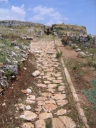 Esempio di basolato di una strada romana (non il tratto della via Nomentana a Tor Mancina), nell'antica città di Norba.