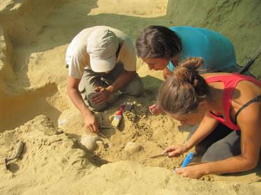 1---archeologi-impegnati-nel-recupero-di-vasi-di-corredo