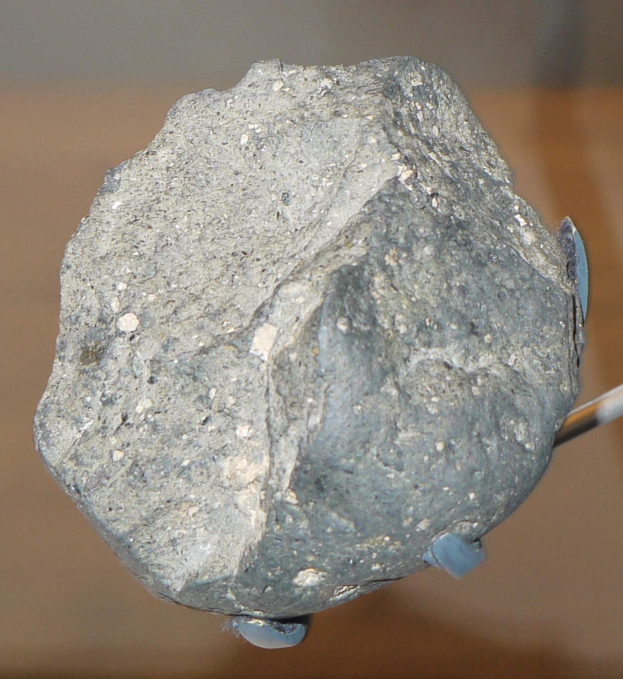Esempio di strumento litico in stile Oldowan, più recente di circa 700.000 anni rispetto ai ritrovamenti di Lomekwi 3, dalla gola di …